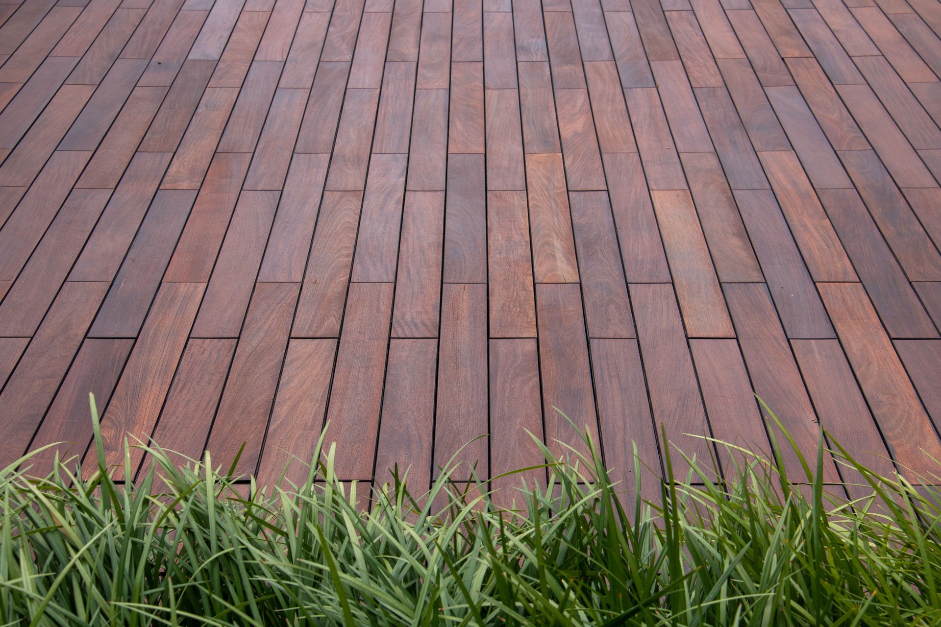 Wood brown decking beautiful ipe texture and evergreen ornamental grass background